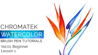 Watercolor Brush Pen Tutorials by Chromatek, Beginner Vol.01 Lesson 01