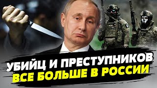 Власти Кремля выгодно скрывать правду про преступность и насилие в РФ — Илья Давлятчин