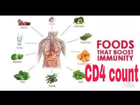 How to increase cd4 t cells without treatment How to increase cd4 t cells without treatment