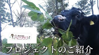 有志のベコプロジェクトが始まりますので告知させて下さい　山地酪農珠の牧