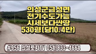 #956 의성토지TV 들판 경지정리된 반듯한 채소밭 530평 5500만 (당10.4만원) 4M도로접 전기가능 상수도가능 하우스시설재배 주말농장 추천 #의성땅#핫한땅