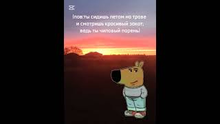 рекомендации#лето#чиловыйпарень