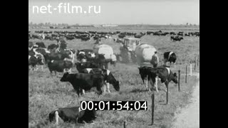 1972г. совхоз Детскосельский Ленинградская обл.