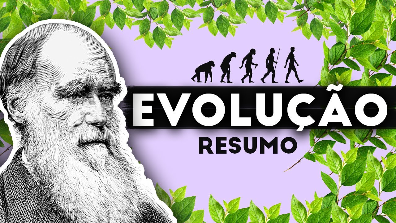 TEORIA DA EVOLUÇÃO - RESUMO DO QUE VOCÊ PRECISA SABER! - YouTube