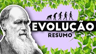TEORIA DA EVOLUÇÃO - RESUMO DO QUE VOCÊ PRECISA SABER!