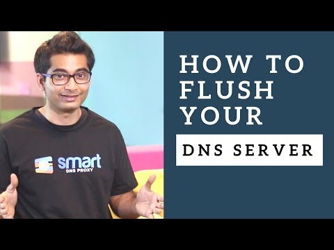 How to Flush DNS Cache on Windows, macOS, Android, iOS How to Flush DNS Cache on Windows, macOS, Android, iOS