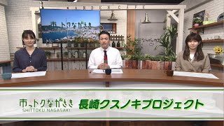 2021年3月5日市っトクながさき「長崎クスノキプロジェクト」