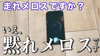 Siriが「黙れメロス」を見たいらしい。黙ってないで走れwww