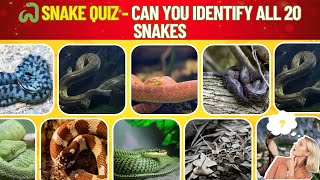 🐍 Snake Quiz: Can you identify all 20 snakes | Animal Quiz