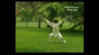 Tai Chi Chuan Leque 18 Movimentos Master Yang Li.