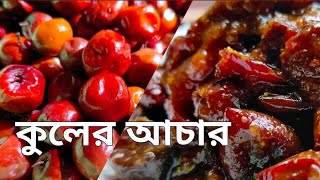 টক ঝাল মিষ্টি টোপা কুলের আচার রেসিপি | Home Made Bengali Pickle Recipe