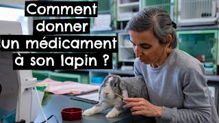 Comment donner un médicament à son lapin ? 🐰