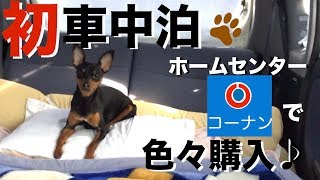 わんこと車中泊 初体験！大人2 犬1【ダイハツムーヴ】【車中飯】