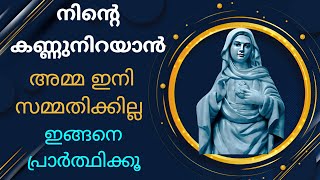 സങ്കടത്താൽ കണ്ണുനിറയാൻ കൃപാസനം അമ്മ ഇനി അനുവദിക്കില്ല 🙏 #kripasanam  #kreupasanam #കൃപാസനം