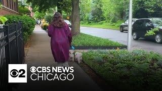 Residents of Chicago neighborhood concerned about aggressive coyotes