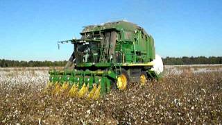 John Deere 7760 Round Bale Cotton Picker in Action