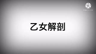 【文字pv】乙女解剖