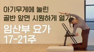 의자를 이용한 골반 순환 요가 / 골반테라피 요가 / 초보 수련자 가능