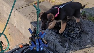 MAGNEETVISSEN IN DE GHETTO MET ZIRA