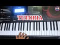 raigarh wala raja cg song instrumental piano tutorial heavy rhythm