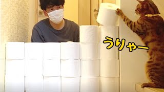 トイレットペーパーチャレンジ準備の邪魔をしてくるニコ