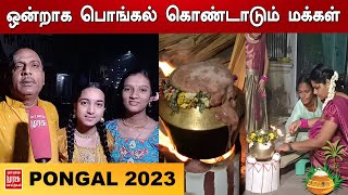 ஒன்றாக பொங்கல் கொண்டாடும் மக்கள் | Pongal 2023 | Tamil News