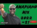 Amapiano Mix 2022 #21 | 13 July 2022 | Dj Webaba