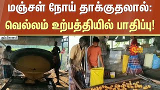 Sugarcane Yellow Leaf Disease | Kumbakonam | Jaggery Production Affected | Sun News