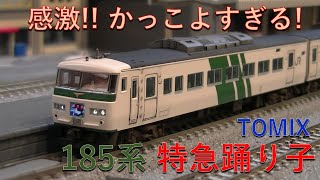 【鉄道模型 / Nゲージ】TOMIXの185系「特急踊り子」がかっこよすぎて感激してしまった！