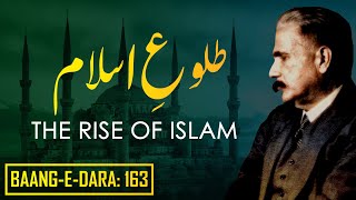 Baang-e-Dara: 163 | Tulu-e-Islam | THE RISE OF ISLAM | Allama Iqbal | Iqbaliyat | AadhiBaat
