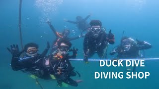 みんなで潜ってきました。千葉県エリア・スキューバダイビングでの水中世界。DUCKDIVE　DIVINGSHOP