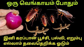 இனி கிச்சனில் பயந்து பயந்து வேலை செய்ய வேண்டாம் | அடிக்கடி clean பண்ண வேண்டாம் kitchen tips tamil