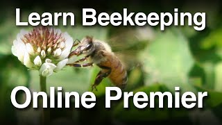 Learn Beekeeping Online Premier 01 05 2021