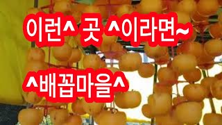 【한국시골마을】충북시골마을옥천군 청성면 장연리 귀재마을에(배꼽마을)