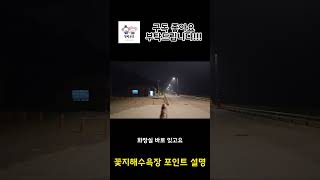 꽃지해수욕장포인트설명!!! #쇼츠 #해루질 #안면도해루질