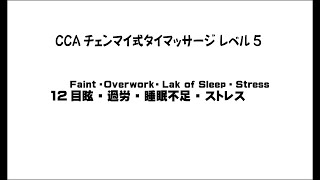 CCAチェンマイ式タイマッサージレベル5   12 目眩・過労・睡眠不足・ストレス