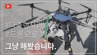 드론으로 사과밭 보충방제 하기(과수 방제는 ss기가 최고네요)