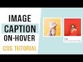 Image Captions On Hover CSS | CSS Image Hover Effects | CSS Tutorial