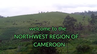 LETS GO NATURAL. NORTH WEST REGION OF CAMEROON.BAMENDA