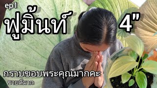 EP1 บุษมิ้นท์ไซส์4\