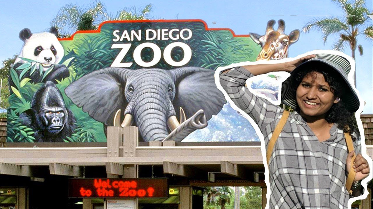 Visiting The San Diego Zoo | Best Zoo In The WORLD! - YouTube