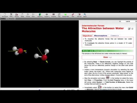 What is the attraction between water molecules called?