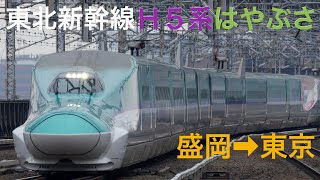 東北新幹線H5系はやぶさ号グリーン車(盛岡→東京)乗車＆新幹線連結作業を見ようin盛岡駅ライブ 2023.2.26【おり】