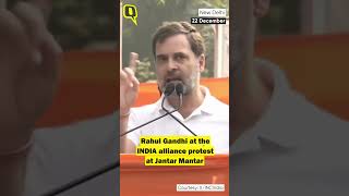 'Media Discussing Mimicry Row, Not Suspension of MPs': Rahul Gandhi at INDIA Protest #shorts