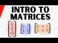 Intro to Matrices and Matrix Operations | Algebra 2