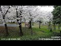 【 LIVE 】JAPAN 東京都足立区立みだまえ公園 ライブカメラ TOKYO MIDAMAE PARK  live camera webcam livestream