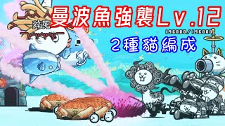 【曼波魚強襲】歌后曼波魚崎A•Y•U 強襲! 猝死 Lv.12 無超激出2種貓編成｜#快樂貓戰の廢話攻略｜貓咪大戰爭