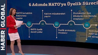 Finlandiya ve İsveç'in Önünde Bu Yollar Var! İşte 6 Adımda NATO'ya Üyelik Süreci
