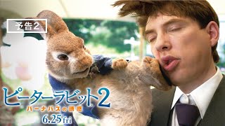 映画『ピーターラビット２／バーナバスの誘惑』予告２ 6月25日 全国ロードショー