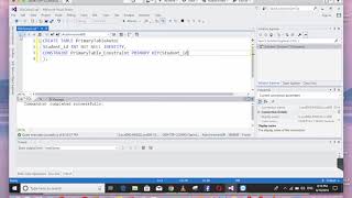How to create a Integer Primary Key that automatically increasing - SQL Query Tutorial